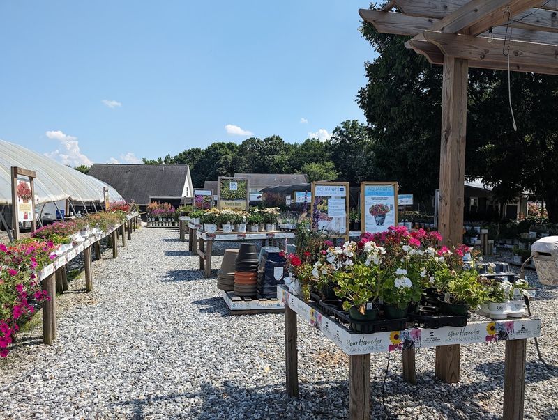 This Hidden Georgia Flower Farm Is A Colorful Escape Of Blooms, Greenhouses, And Garden Charm - Decor Hint Flowering Shrubs That Add Structure And Year-Round Interest