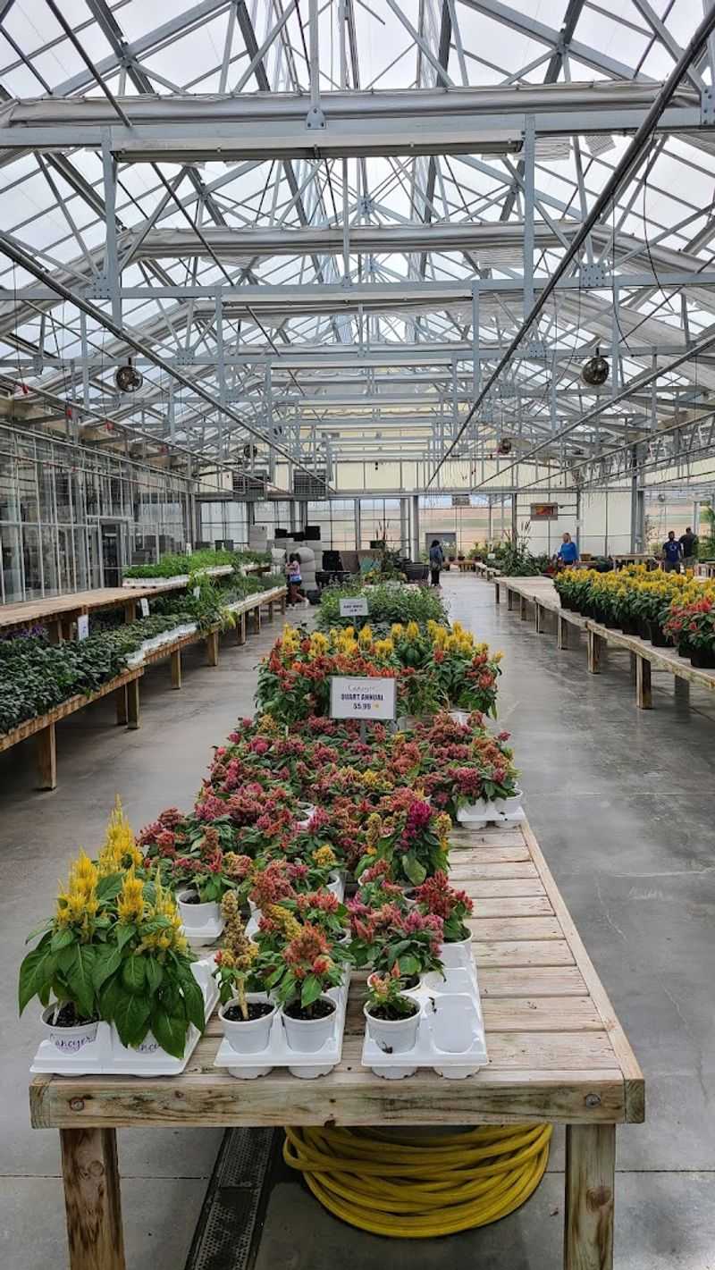 The Greenhouse Makes Just Looking Almost Impossible