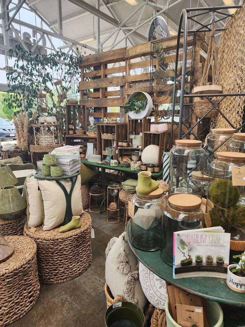 Houseplants Bring The Charm Indoors