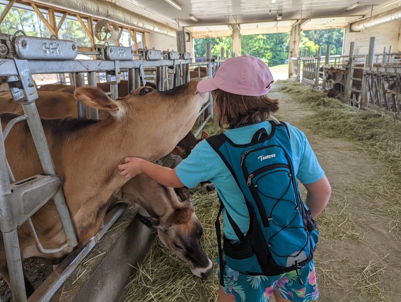 This Charming Vermont Town Is Best Explored On A Lazy Weekend Drive - Decor Hint Billings Farm Brings History Alive