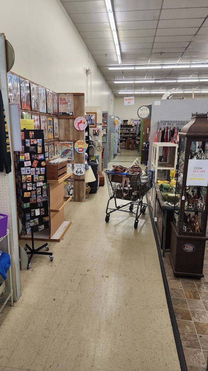Why This Market Earns Repeat Visits