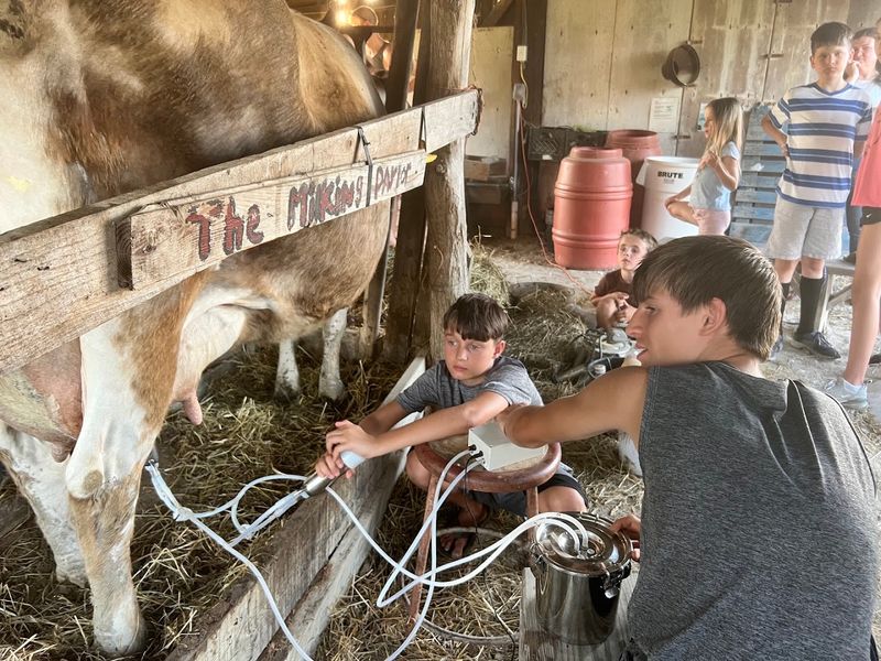 Where Farm Life Actually Lives