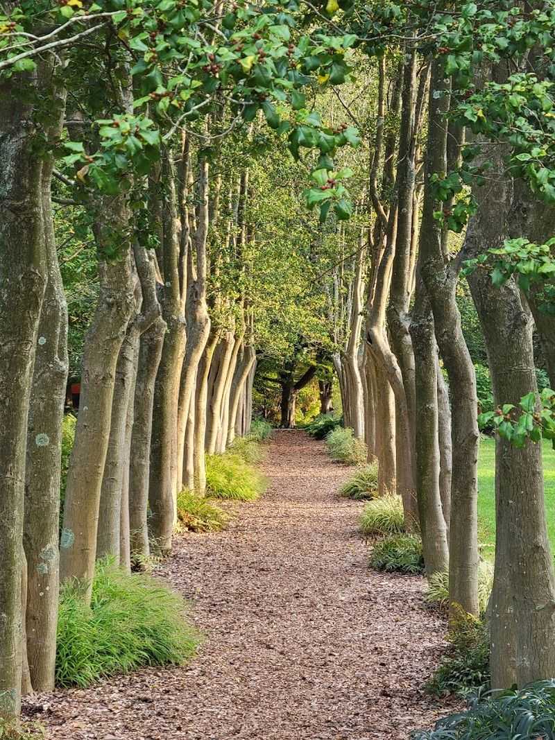 Trails That Reward Anyone Who Keeps Walking