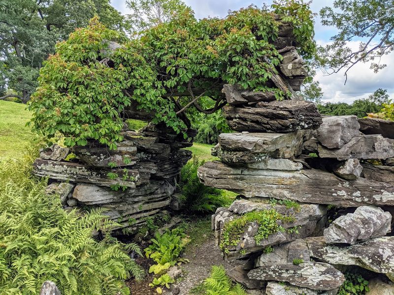 One Of New York's Most Stunning Botanical Gardens, And Barely Anyone Knows It's There - Decor Hint Rocks That Are Doing Way More Work Than You Think