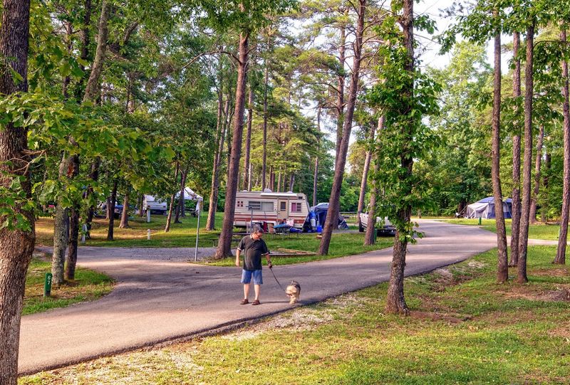 Forest Trails That Deliver On Their Promise