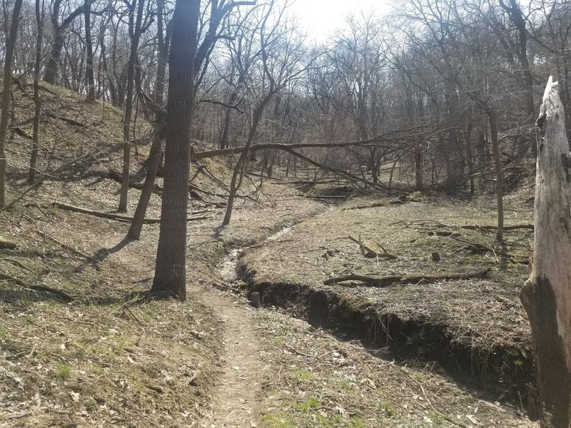 This Nebraska Bike Destination Is Unlike Anywhere Else In The State - Decor Hint Built For The Brave Biker