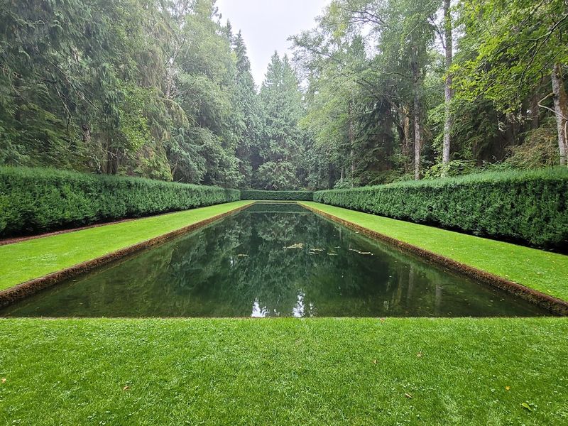 The Reflection Pool Experience