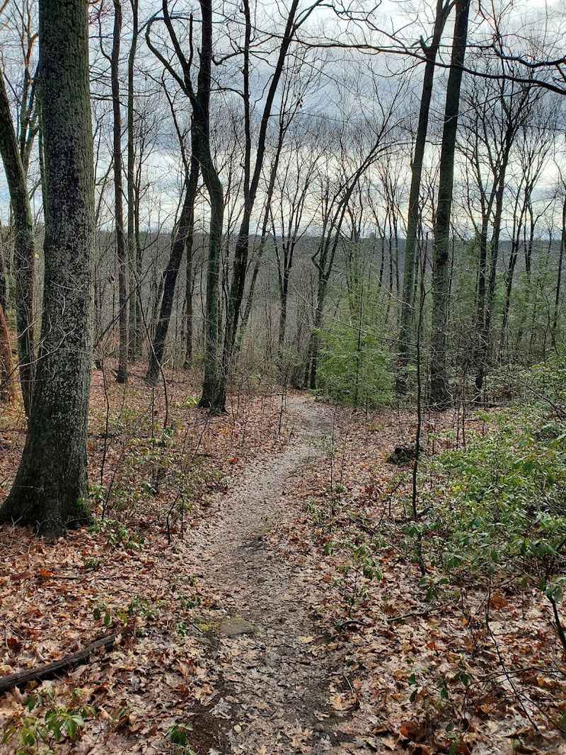 8 Quiet Hiking Trails In Connecticut That Tourists Haven't Discovered Yet - Decor Hint Dismal Brook Wildlife Preserve, North Granby