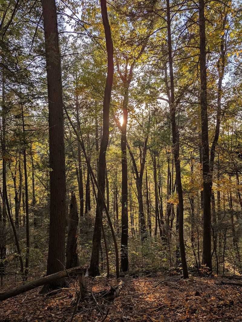 Easy Trails Keep The Scenery Within Reach