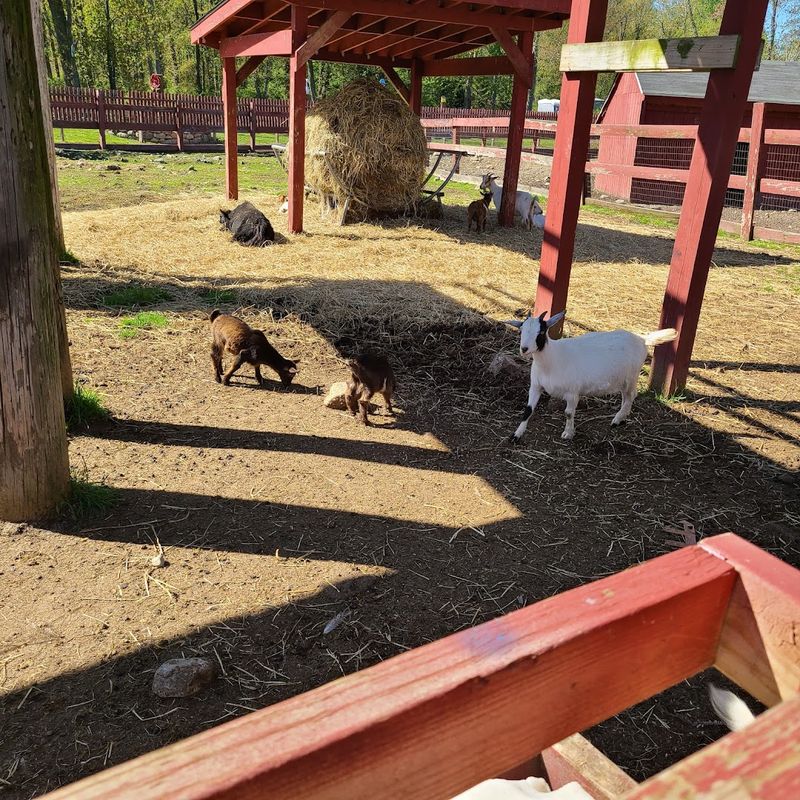 Silverman's Farm, Easton