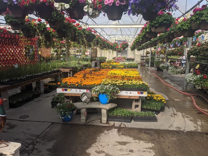 Start With The Massive Greenhouse Wandering
