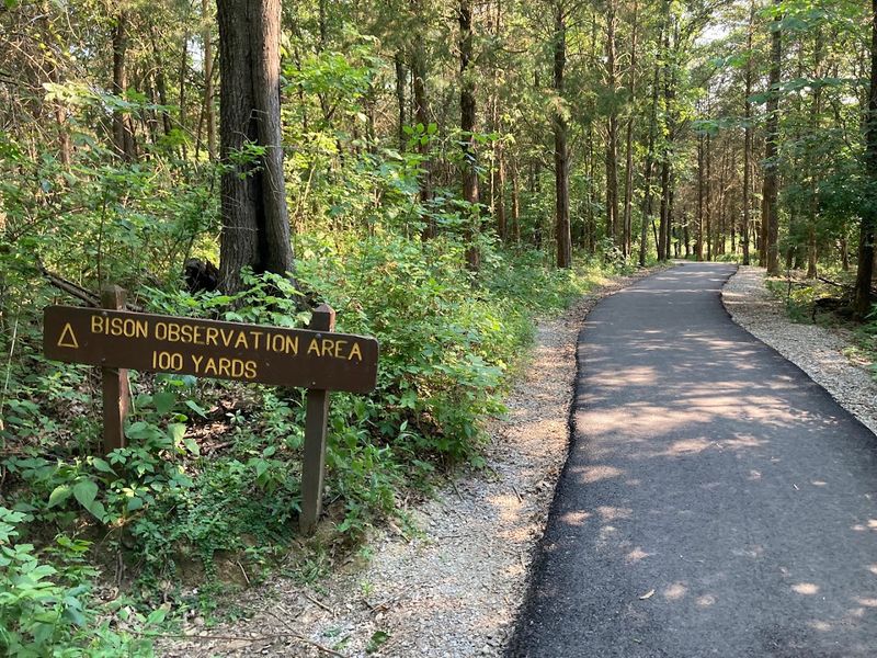 Walking Trails That Tell You Something