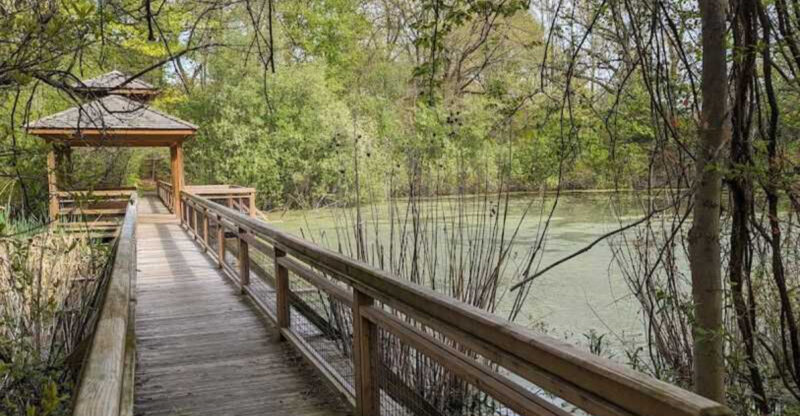 The Nation’s Oldest Songbird Sanctuary Is Hidden Right Here In Connecticut