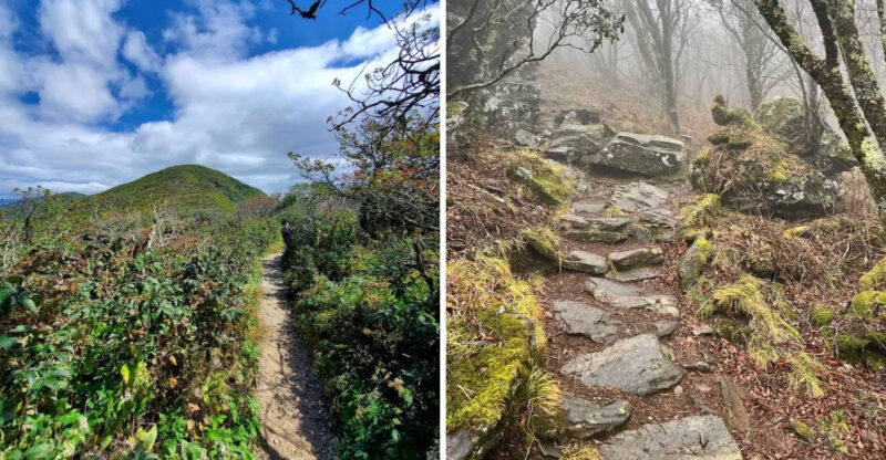 The North Carolina “Narnia Trail” That Makes An Easy Family Walk Feel Like A Fairytale Adventure
