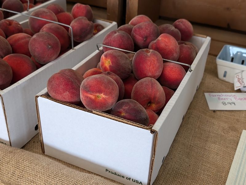 Fresh Farm Products Beyond The Fruit Basket
