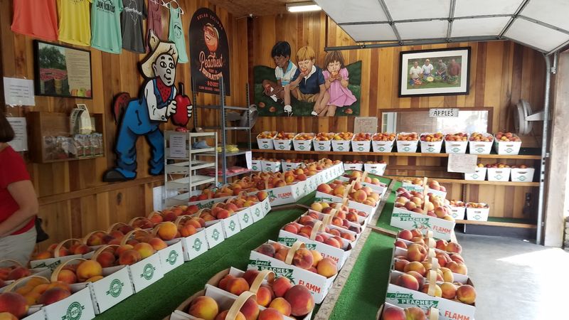 Peach Season Is Pure Magic