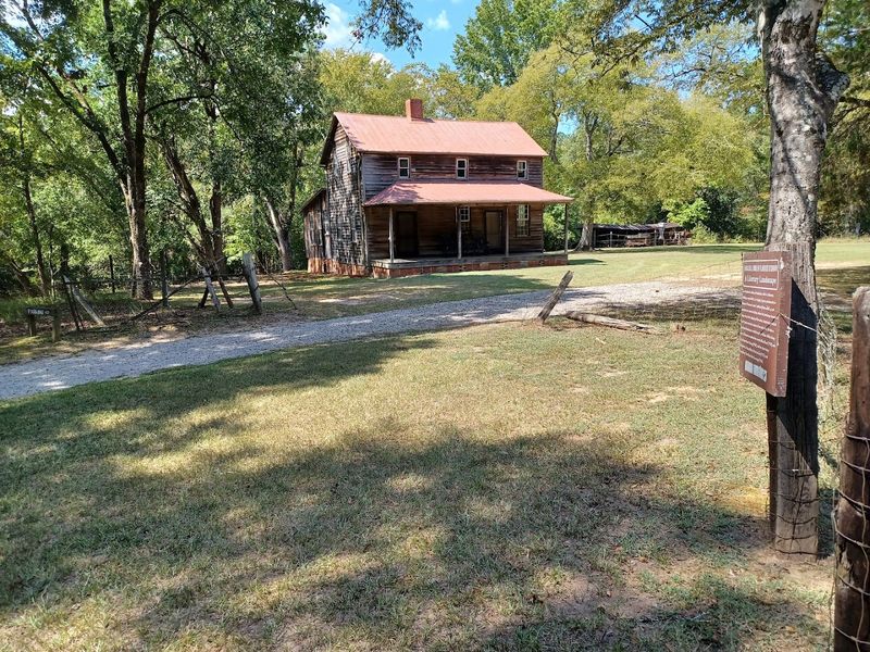 The Charming Georgia Trail Where Unexpected Peacock Encounters Make Every Visit Unforgettable - Decor Hint The Guided House Tour Experience