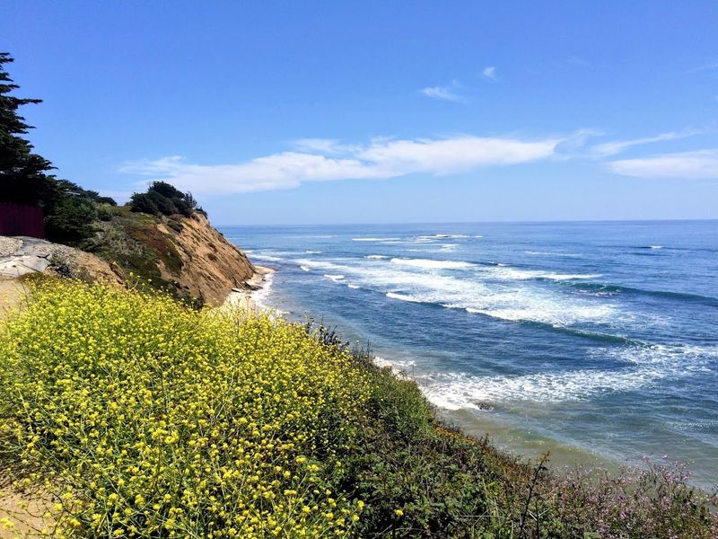Whale Sightings Are Possible From The Bluff