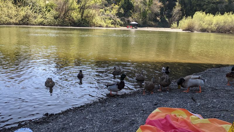 California's Most Laid-Back River Float Turns A Sonoma Afternoon Into Pure Summer Drift Mode - Decor Hint River Beaches Turn Breaks Into Half The Fun