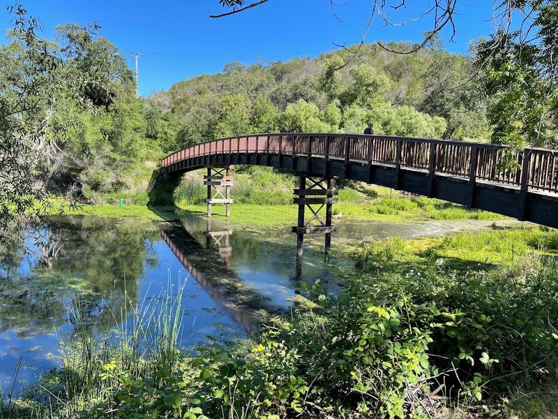 This Underrated California State Park Has Lakeside Cabins, Woodland Trails And One Of America's Best Bass-Fishing Lakes - Decor Hint Four Campgrounds Offer Completely Different Settings