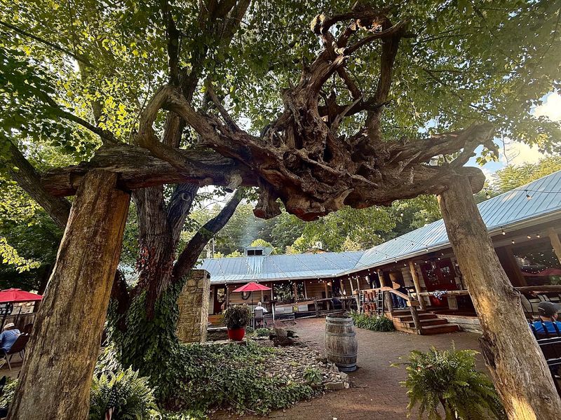 12 North Carolina Steakhouses Where Ribeye Dinners Still Feel Like A Big Deal - Decor Hint Boots Steakhouse