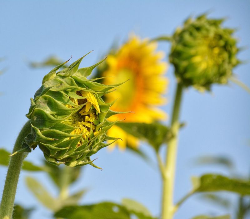 When To Go Before The Season Slips Away