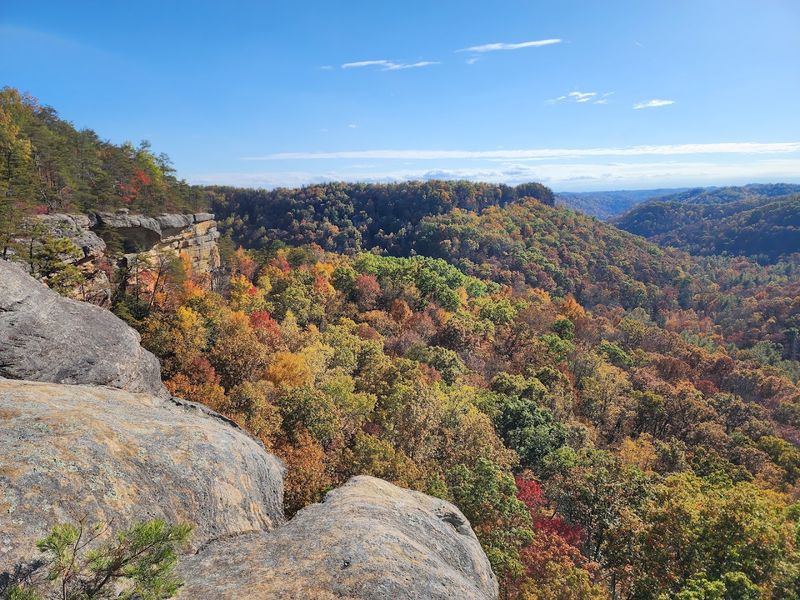 The Mississippian-Age Rock Layers