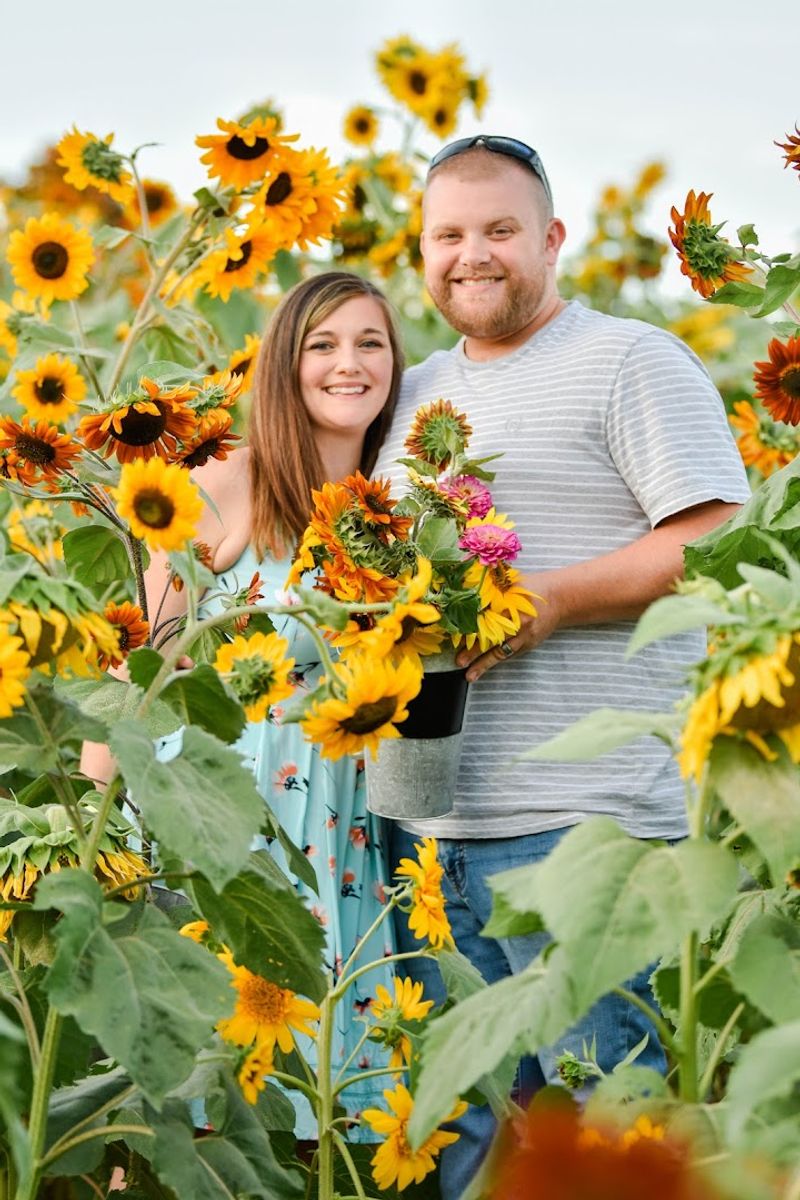 The Sunflower Fields That Make Summer Feel Real