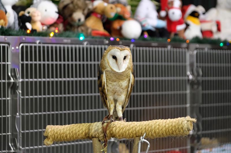 The Animals You Get To See Up Close
