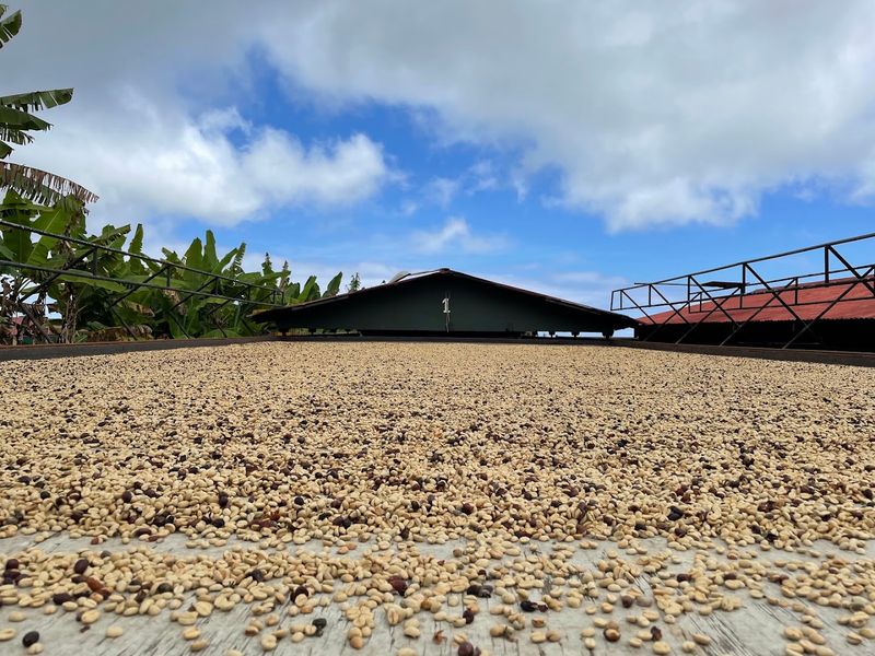 Why This Farm Is Worth The Drive 