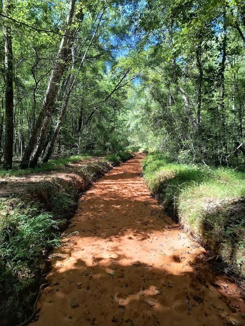 This Georgia Canyon Trail Feels Like A Desert Adventure In The Deep South - Decor Hint The Backcountry Trail For Serious Hikers
