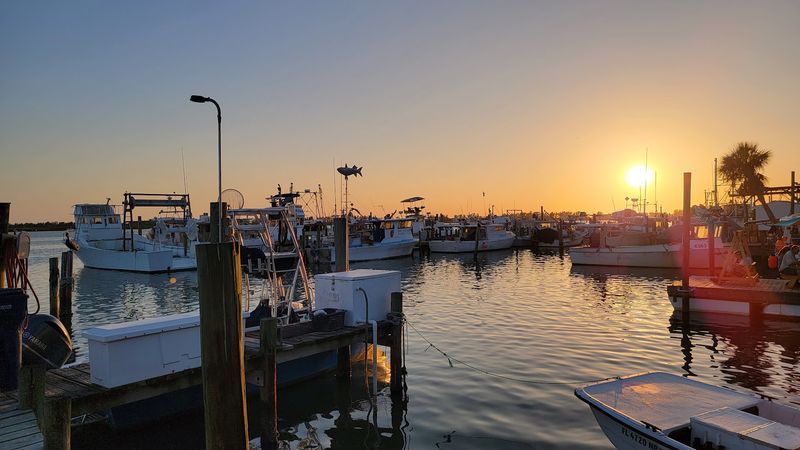 This Stunning Florida Seafood Market Is Worth The Drive In 2026 - Decor Hint Pelicans, Boats, And The Kind Of View You Cannot Plan