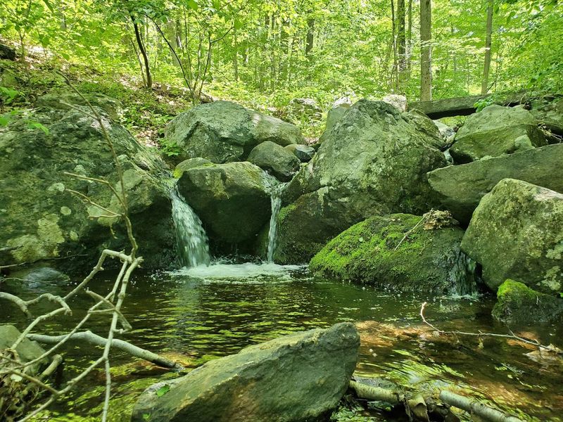 One Of Connecticut's Most Extraordinary State Parks Still Remains A Hidden Gem - Decor Hint A Hidden Escape Without The Big Crowds