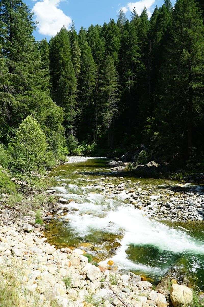 Gold Panning Remains Part Of The Experience