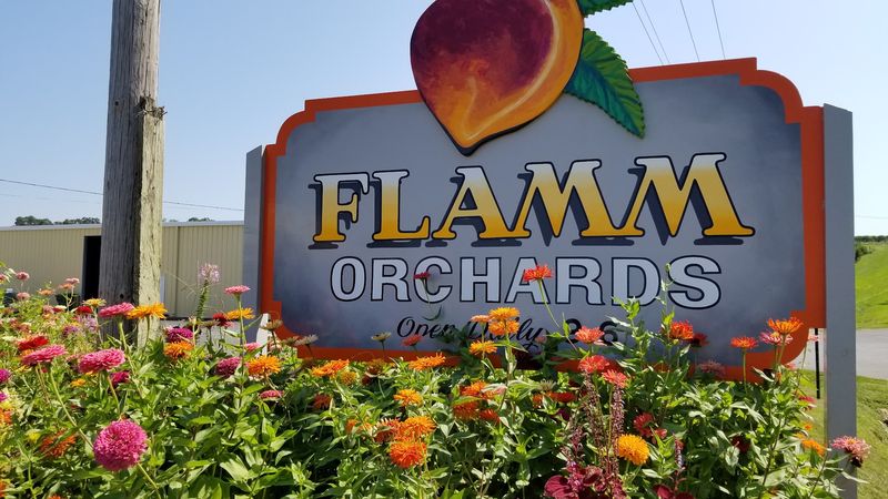 The Orchard That Starts It All