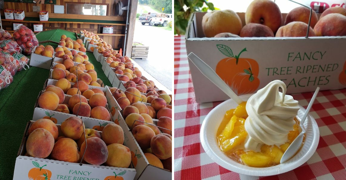 The Search For A Tasty Peach Ice Cream Could End At This Tiny Roadside Stand In Illinois - Decor Hint