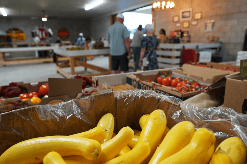 These Idaho Farms Grow The Kind Of Tomatoes Grocery Stores Cannot Compete With - Decor Hint Red Top Market