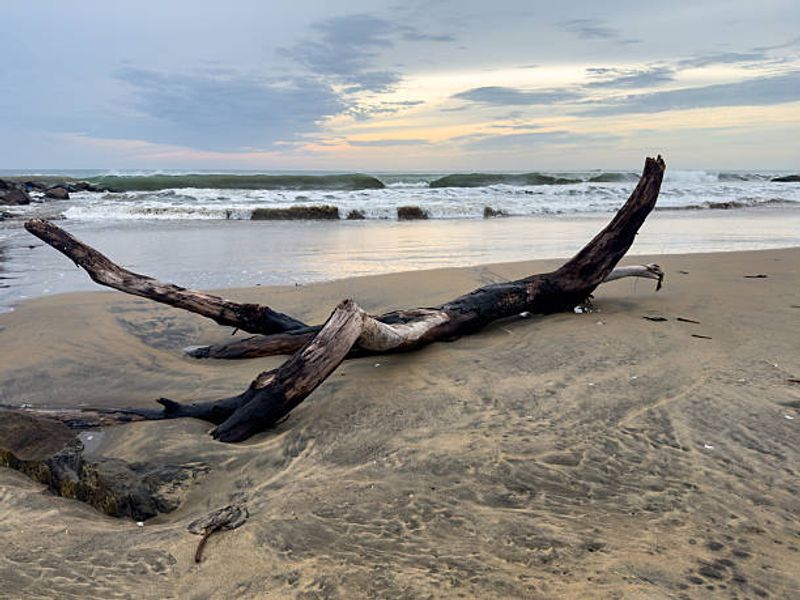 This San Francisco, California Beach Reveals A 19th-Century Clipper Shipwreck At Extremely Low Tide - Decor Hint A Rescue Emergency Led To The Disaster