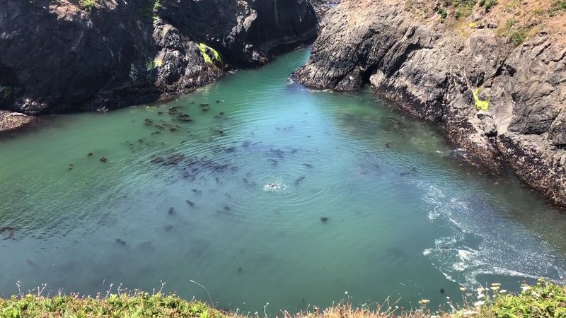 This Historic Northern California Lighthouse Sits Beside A Secluded Cove With A Fascinating Past - Decor Hint The Cove Is An Underwater Historic Site