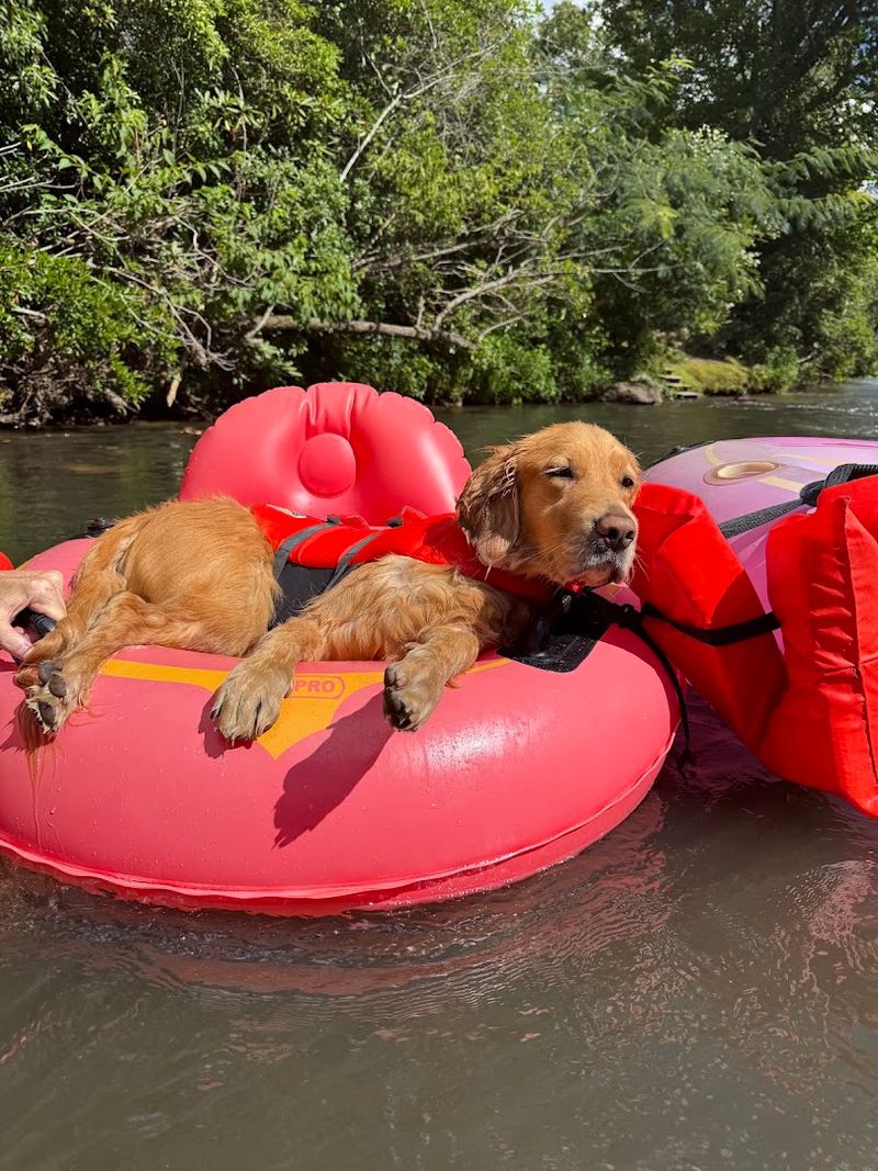 Why This Float Stays With You Long After You Dry Off