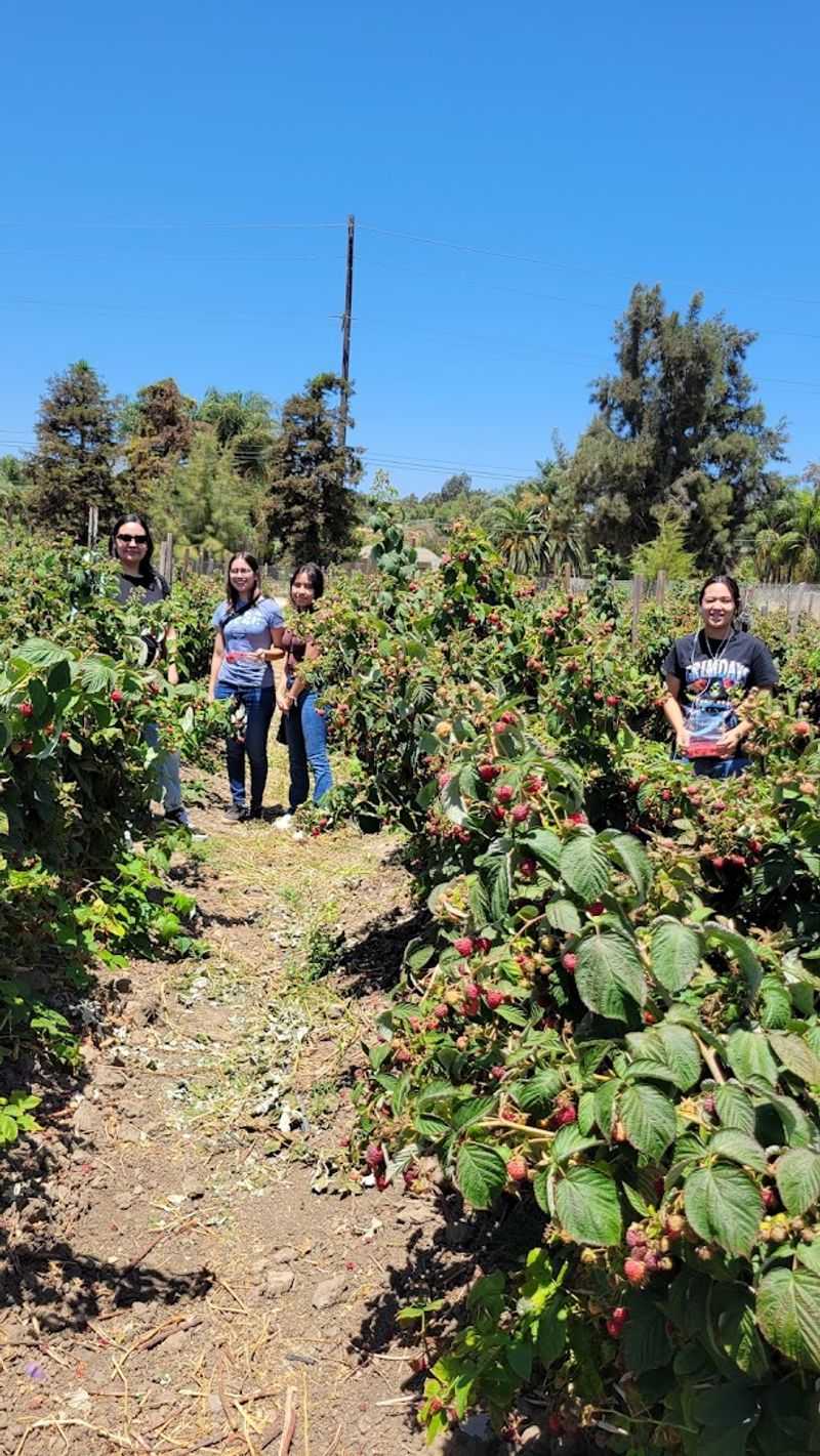 The Farm Is Open Every Day During The Main Season