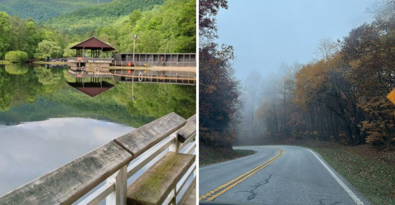 The Stunning 40-Mile Georgia Scenic Drive Locals Say Beats Meditation