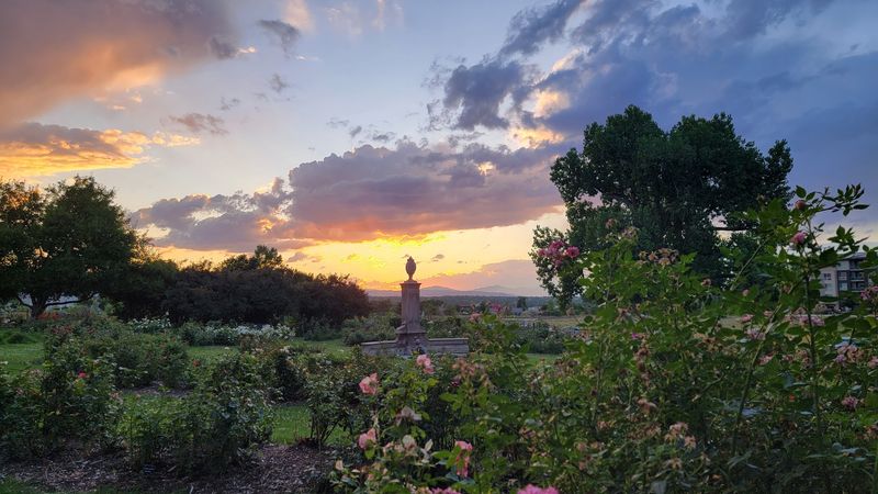 There Is A Beautiful Rose Garden In Colorado Most People Don't Know About - Decor Hint Mountain Views That Steal The Show