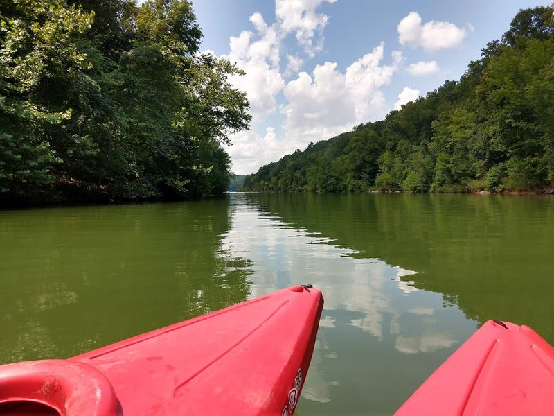 Paddling The Lake Without A Complicated Rental Process