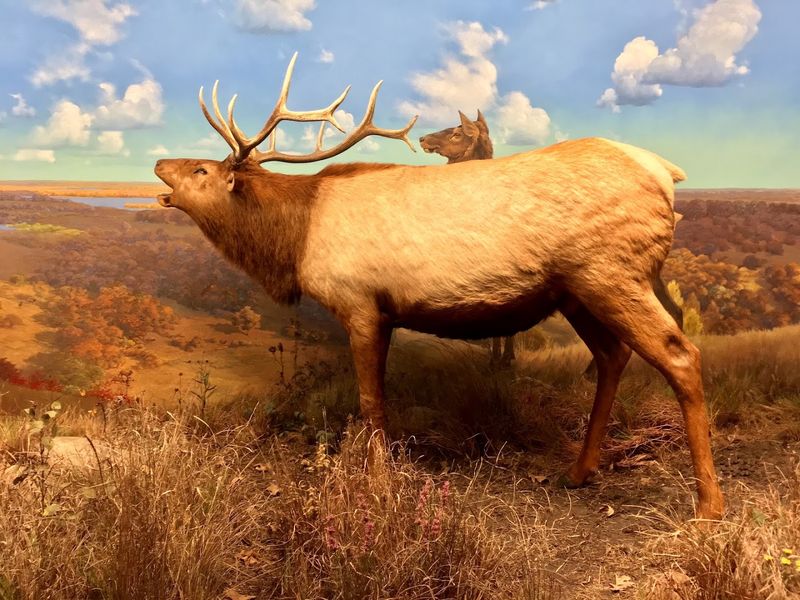 An Underrated Minnesota Planetarium Offers An Ethereal Experience - Decor Hint Journey To Minnesota Geology Exhibit