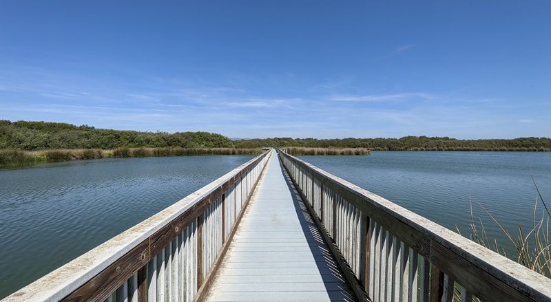 A Long Boardwalk Crosses Directly Over Oso Flaco Lake