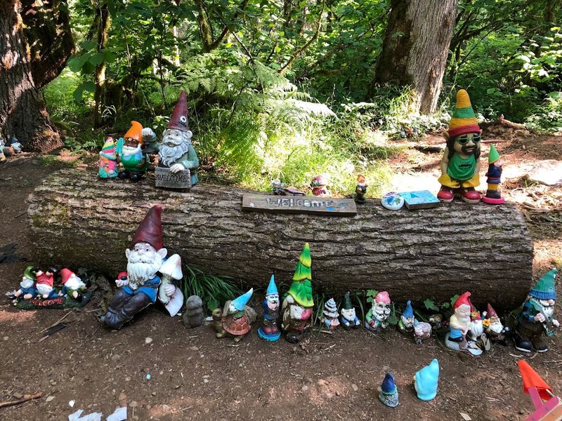 Washington's Most Enchanting Hidden Gnome Trail Will Spark Your Inner Child - Decor Hint The Gnome Graveyard Is Oddly Heartwarming