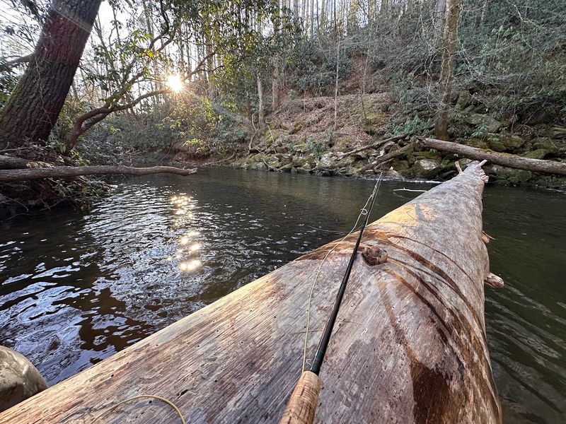 The 5,844-Acre Georgia State Park That So Many People Haven't Discovered - Decor Hint Dukes Creek And The Art Of Catch-And-Release Trout Fishing