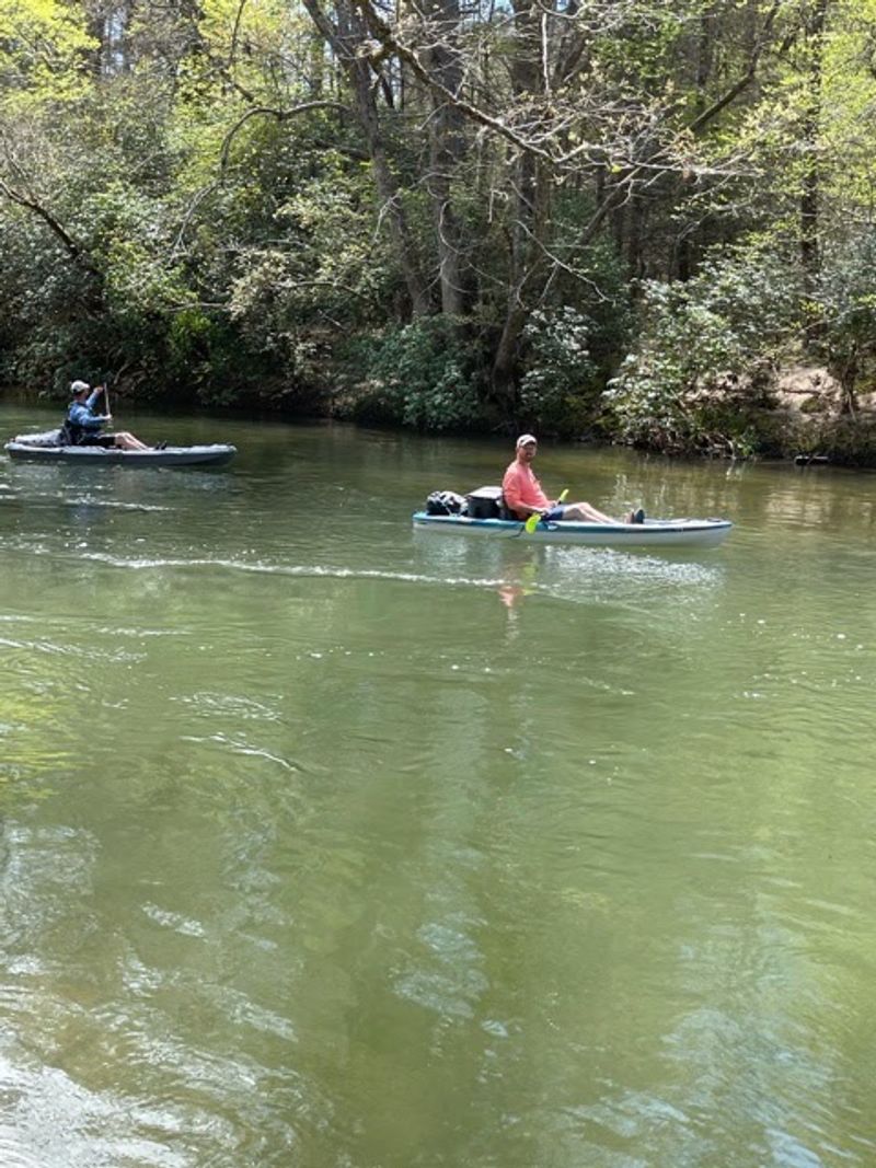 The Toccoa River Is One Of Blue Ridge's Most Popular Summer Escapes