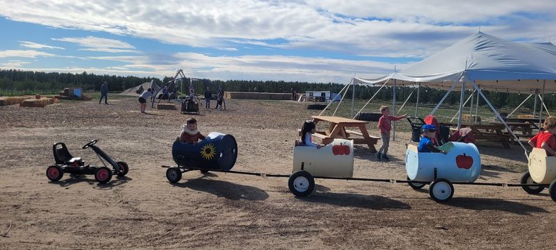 Fun For Kids Beyond The Trees